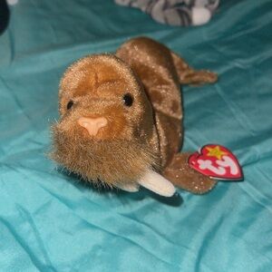 Paul the beanie baby